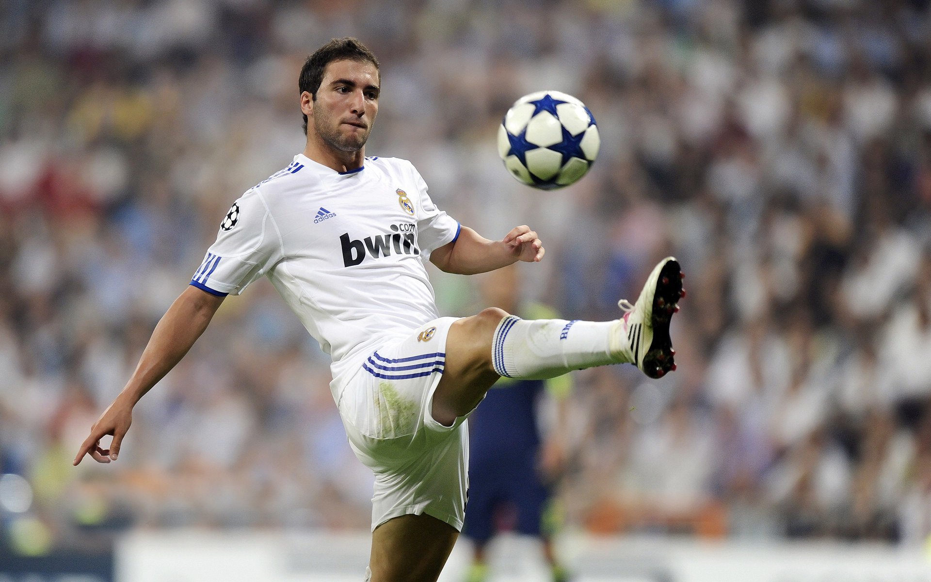 东契奇力挺布朗尼，拉拉维亚谦虚谈表现，里夫斯回顾詹姆斯，东契奇和詹姆斯新秀赛季